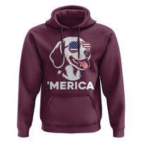 Funny Merica Beagle Lover 4th Of July Hoodie Patriotic Dog Gift