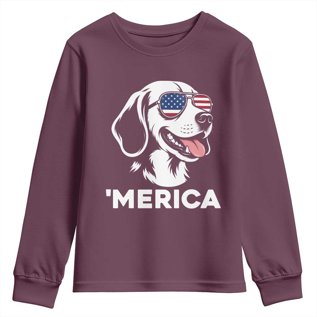Funny Merica Beagle Lover 4th Of July Youth Sweatshirt Patriotic Dog Gift