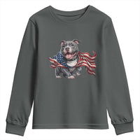 Patriotic Pitbull Dog USA Flag Youth Sweatshirt 4th Of July Pride
