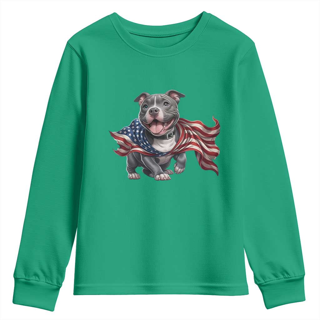 Patriotic Pitbull Dog USA Flag Youth Sweatshirt 4th Of July Pride