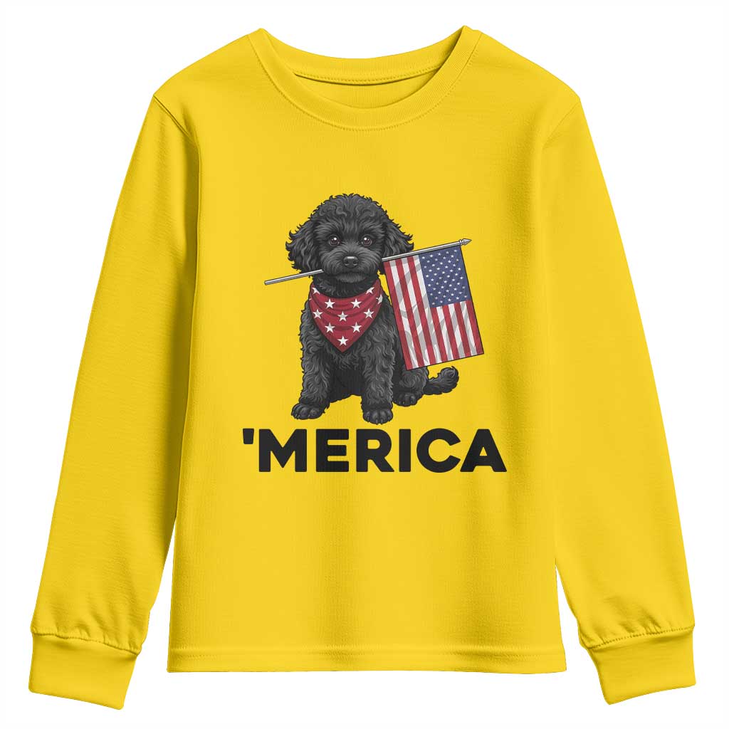 Merica Poodle Dog Lover Gift Youth Sweatshirt Patriotic 4th Of July
