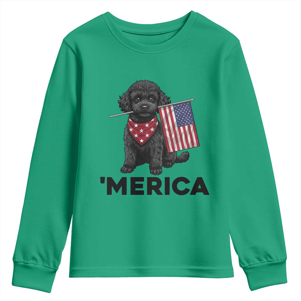 Merica Poodle Dog Lover Gift Youth Sweatshirt Patriotic 4th Of July
