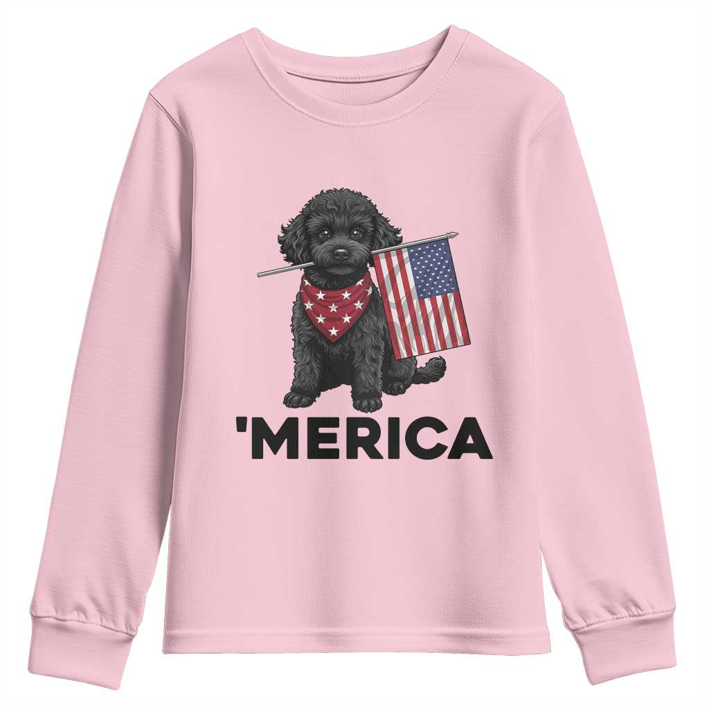Merica Poodle Dog Lover Gift Youth Sweatshirt Patriotic 4th Of July