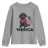 Merica Poodle Dog Lover Gift Youth Sweatshirt Patriotic 4th Of July