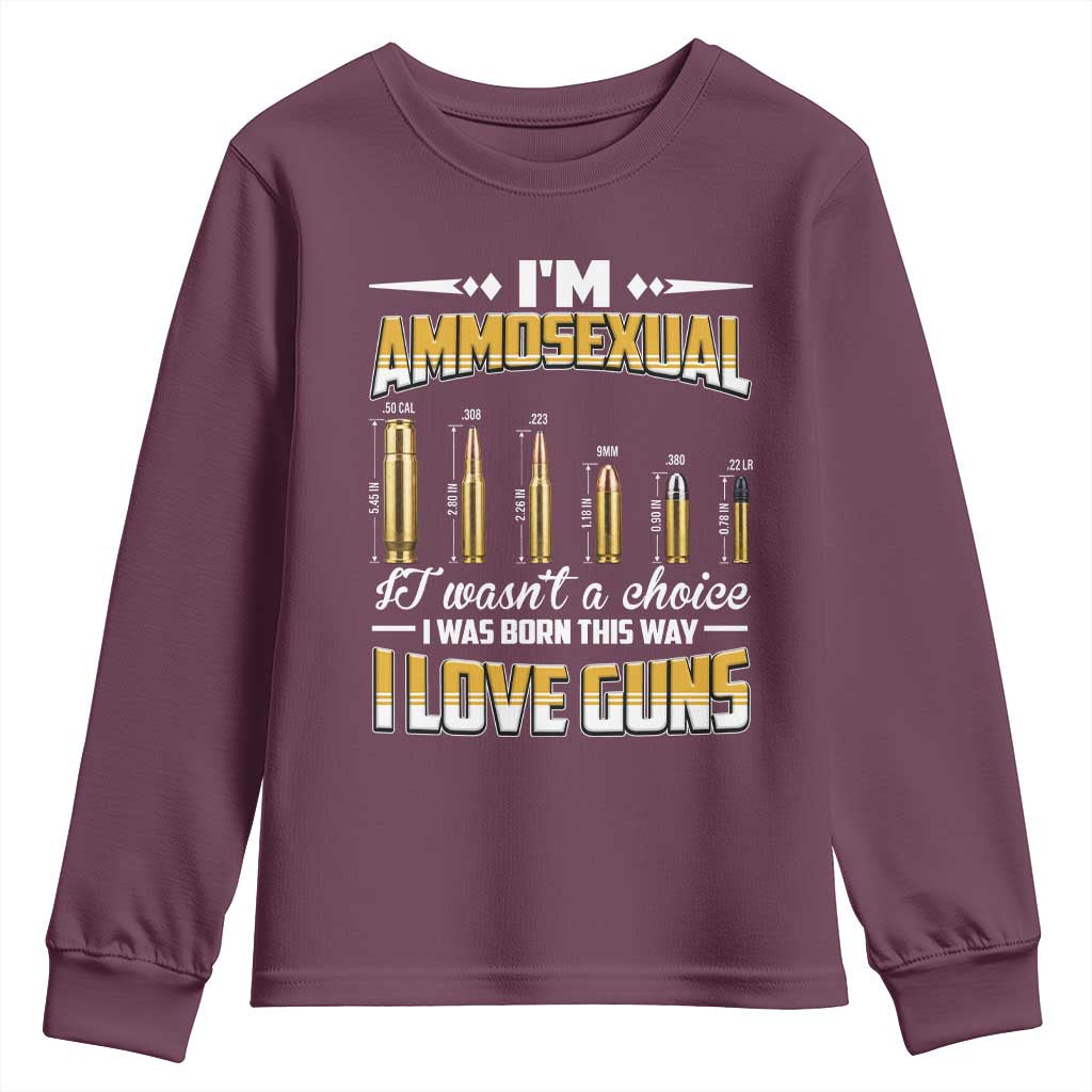 Funny Im Ammosexual Youth Sweatshirt Second Amendment Patriotic Freedom Graphic