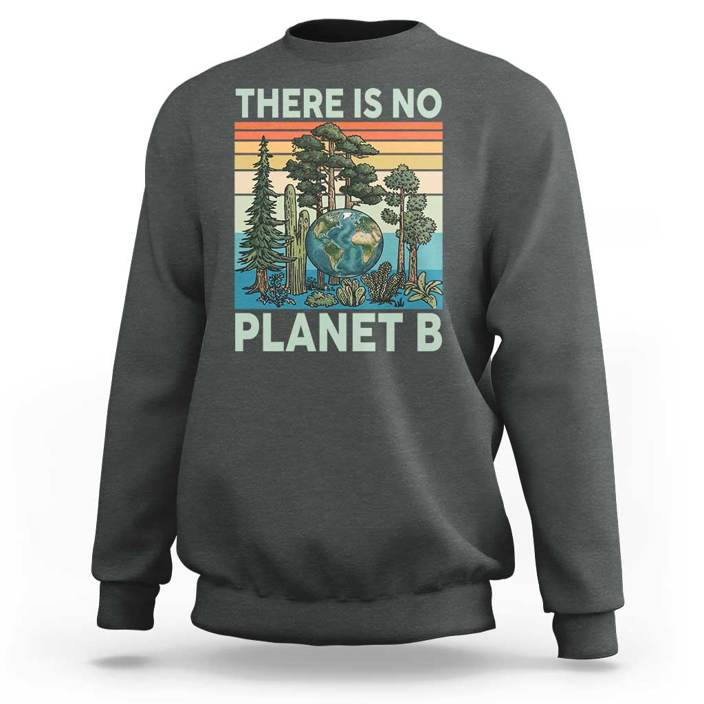Vintage There Is No Planet B Earth Day Gift Sweatshirt
