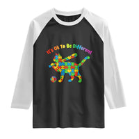 Autism Acceptance Baseball Cat Raglan Shirt It Is Ok To Be Different