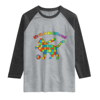 Autism Acceptance Baseball Cat Raglan Shirt It Is Ok To Be Different