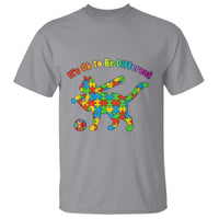 Autism Acceptance Baseball Cat T Shirt It Is Ok To Be Different