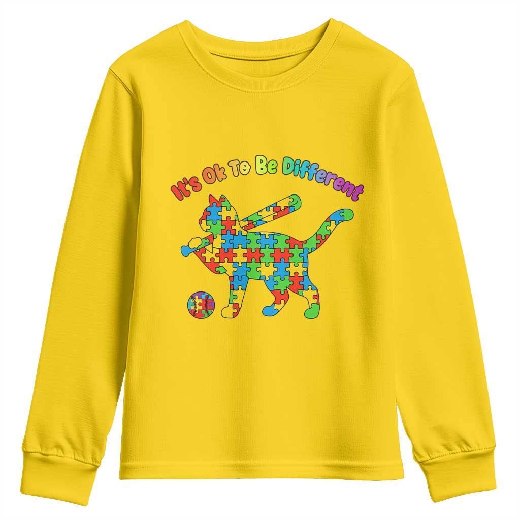 Autism Acceptance Baseball Cat Youth Sweatshirt It Is Ok To Be Different