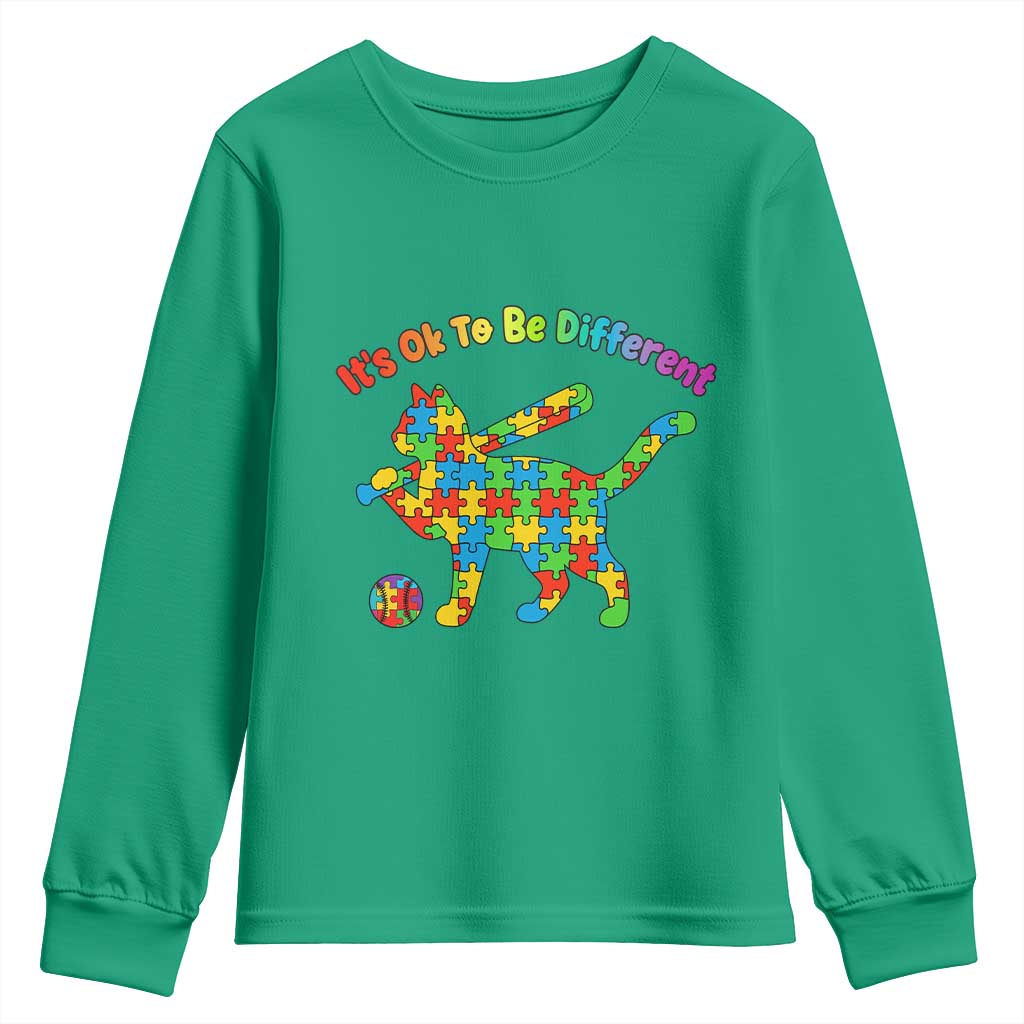 Autism Acceptance Baseball Cat Youth Sweatshirt It Is Ok To Be Different
