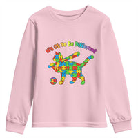 Autism Acceptance Baseball Cat Youth Sweatshirt It Is Ok To Be Different