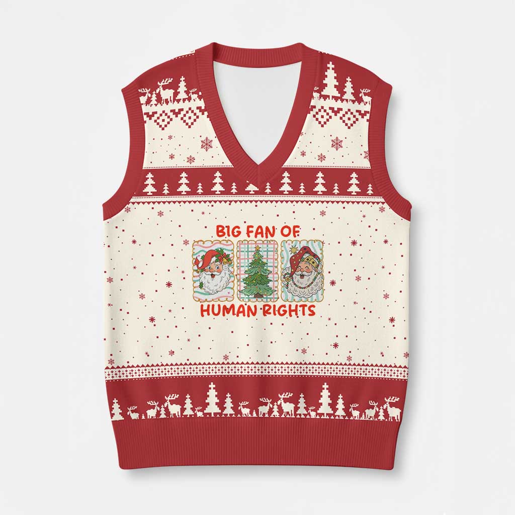 Big Fan Of Human Rights And Equality V-Neck Knit Sweater Vest Xmas Activism Gift - Wonder Print Shop