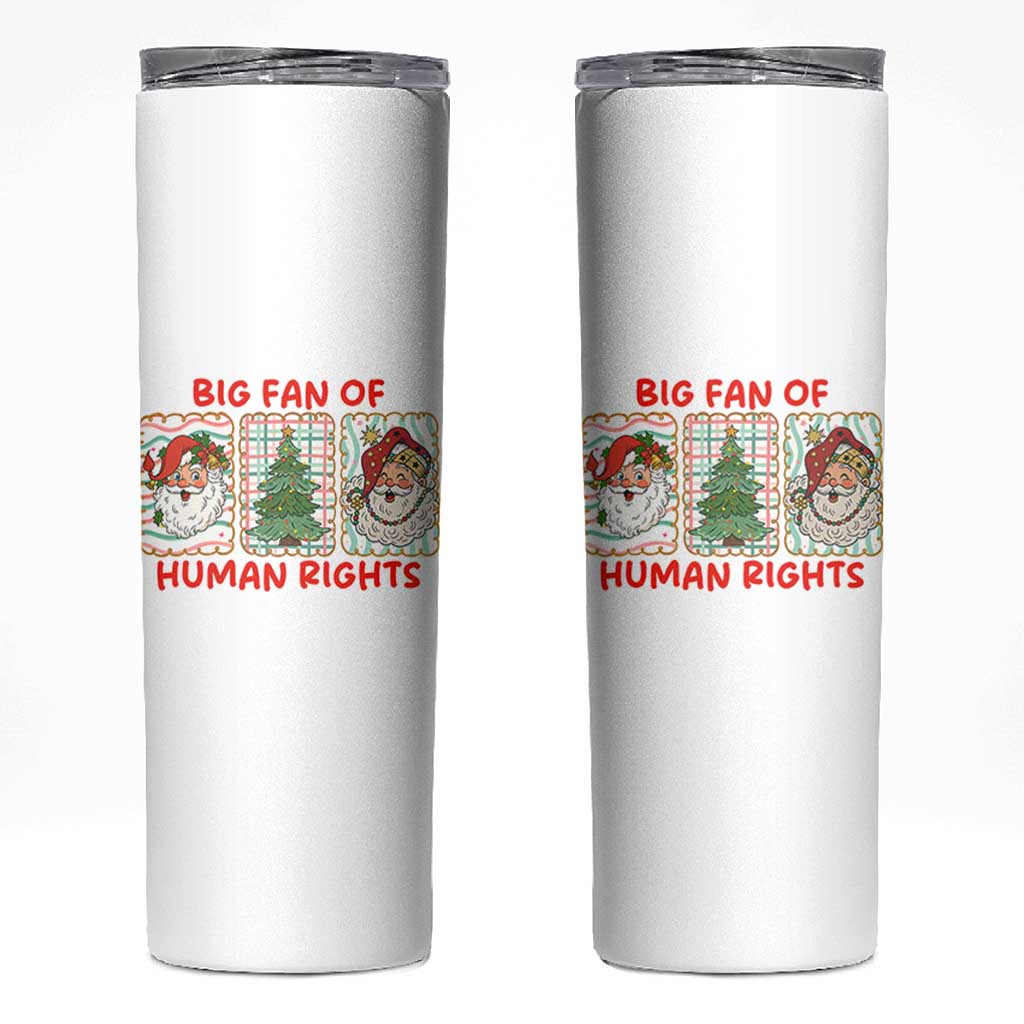 Big Fan Of Human Rights And Equality Skinny Tumbler Xmas Activism Gift - Wonder Print Shop