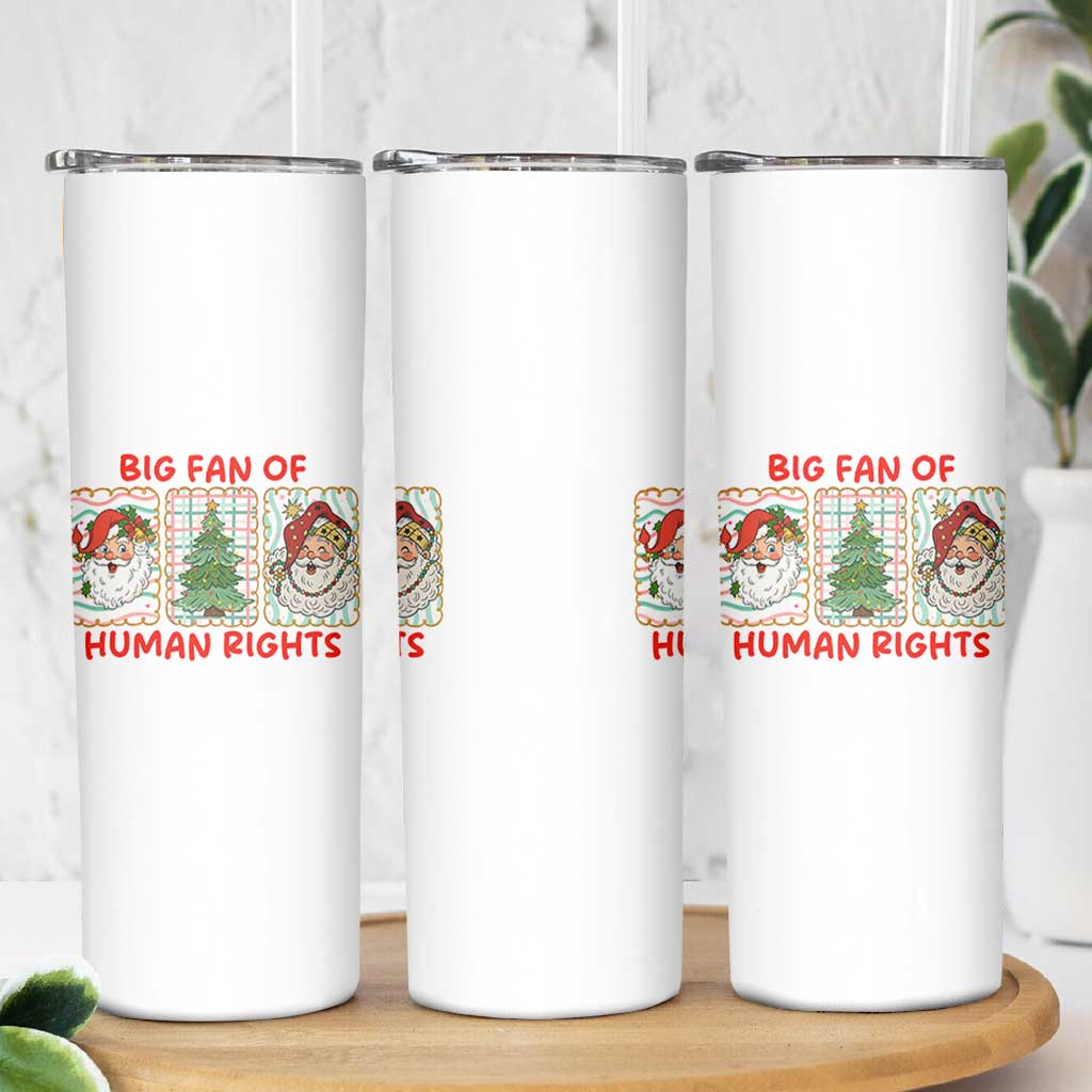 Big Fan Of Human Rights And Equality Skinny Tumbler Xmas Activism Gift - Wonder Print Shop
