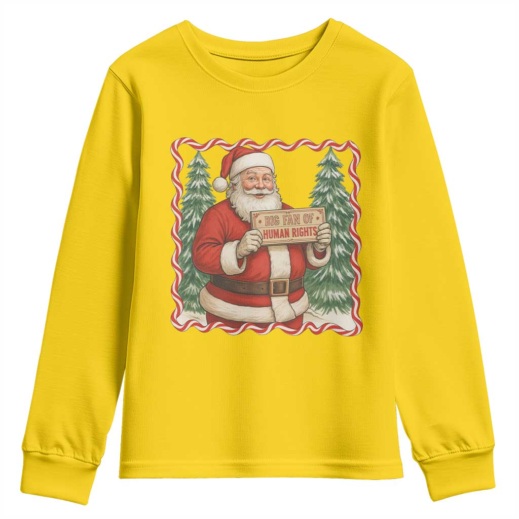 Christmas Gift For Big Fans Of Human Rights And Activism Youth Sweatshirt - Wonder Print Shop