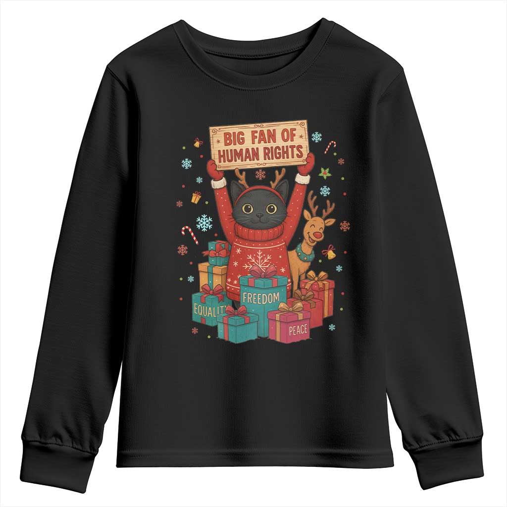 Cute Santa Cat Big Fan Of Human Rights Youth Sweatshirt Christmas Supporters - Wonder Print Shop
