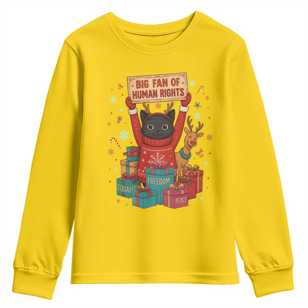 Cute Santa Cat Big Fan Of Human Rights Youth Sweatshirt Christmas Supporters - Wonder Print Shop