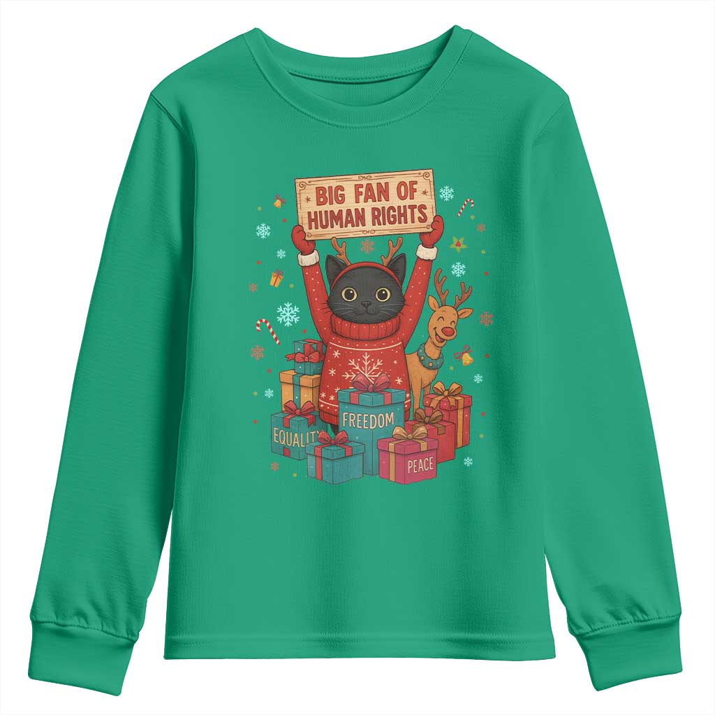 Cute Santa Cat Big Fan Of Human Rights Youth Sweatshirt Christmas Supporters - Wonder Print Shop