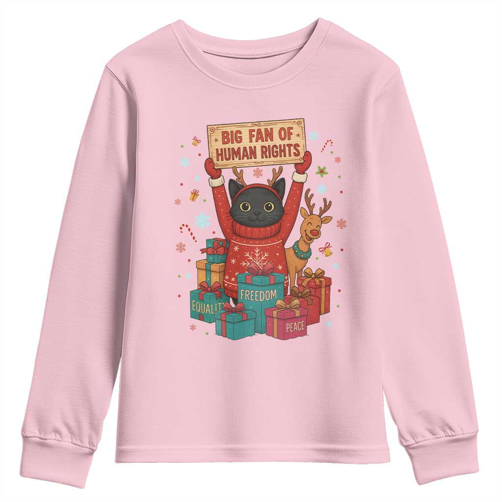 Cute Santa Cat Big Fan Of Human Rights Youth Sweatshirt Christmas Supporters - Wonder Print Shop