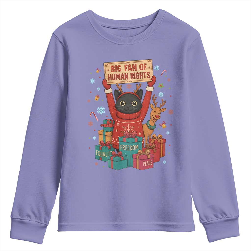Cute Santa Cat Big Fan Of Human Rights Youth Sweatshirt Christmas Supporters - Wonder Print Shop