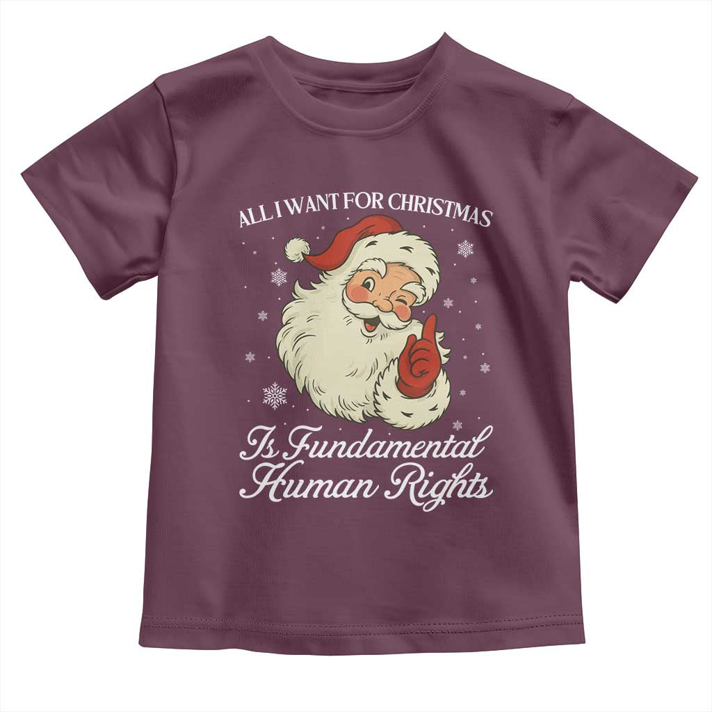 All I Want For Christmas Is Fundamental Human Rights Toddler T Shirt Xmas Supporters Gift - Wonder Print Shop