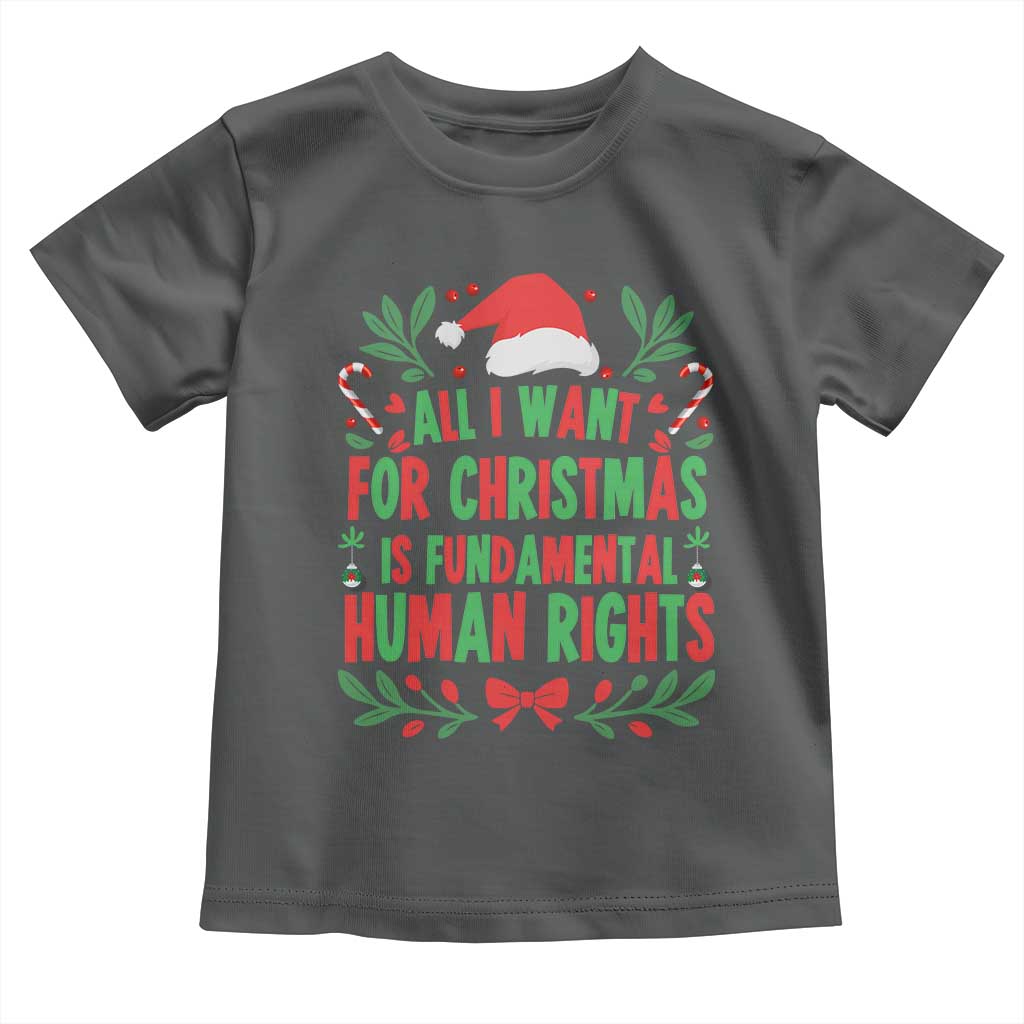 All I Want For Christmas Is Fundamental Human Rights Toddler T Shirt Pro Democracy Xmas Gift - Wonder Print Shop