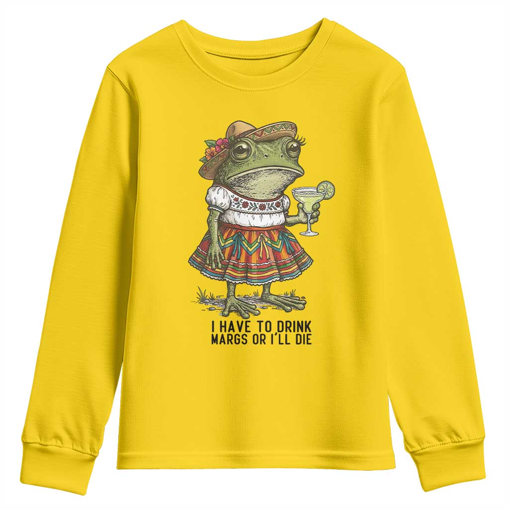 Funny Cinco De Mayo Frog Youth Sweatshirt I Have To Drink Margs