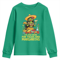Funny Cinco De Mayo Frog Youth Sweatshirt Just Here For Tacos And Margaritas