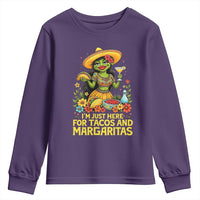 Funny Cinco De Mayo Frog Youth Sweatshirt Just Here For Tacos And Margaritas
