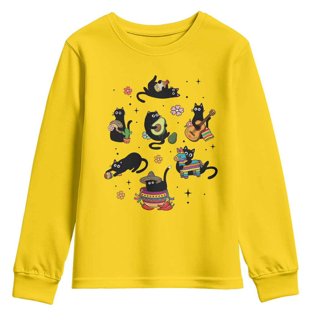 Funny Black Cat Lover Cinco De Mayo Youth Sweatshirt Mexican Fiesta Gift