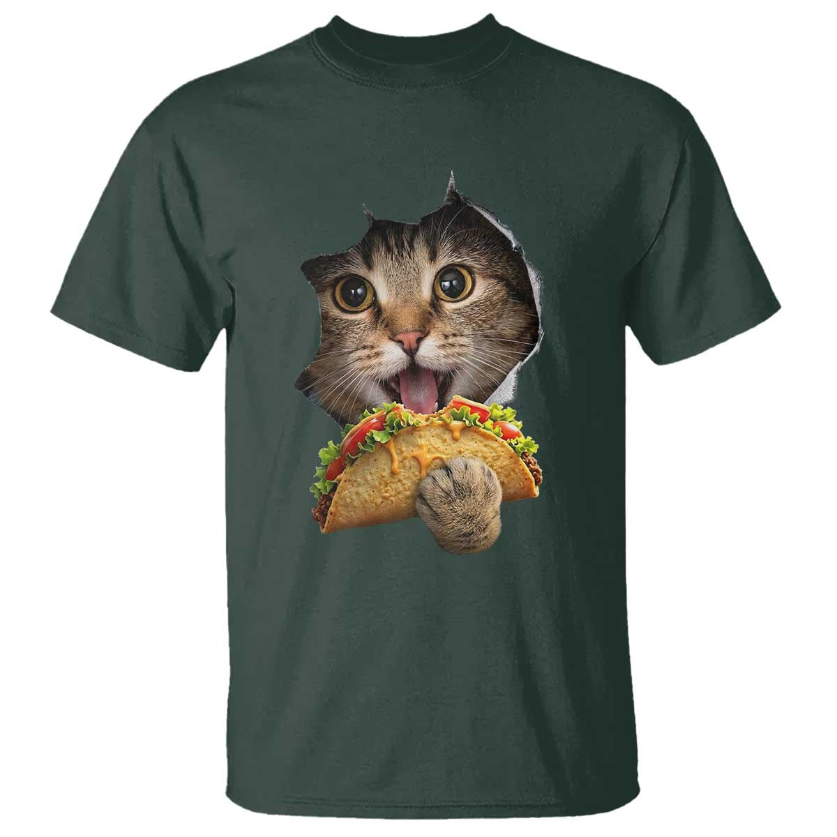 Funny Cat Eating Taco T Shirt Mexican Food Lover Gift