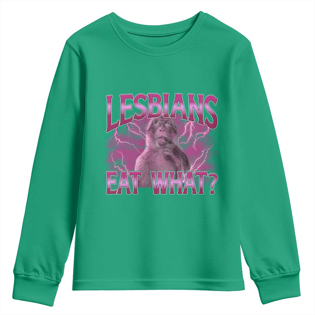 Funny Monkey Meme Lesbians Eat What Youth Sweatshirt LGBTQ Pride Gift