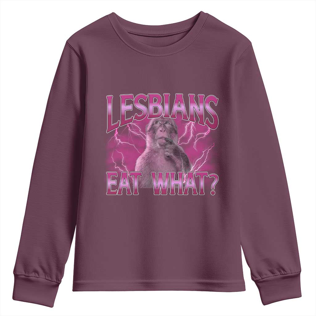 Funny Monkey Meme Lesbians Eat What Youth Sweatshirt LGBTQ Pride Gift