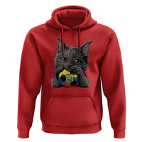 Ecuador Black Cat Soccer Game Day Hoodie Cat Lover Gift
