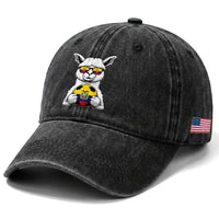 Funny Ecuador Alpaca Soccer Lover Washed Cotton Baseball Cap South American Pride Gift