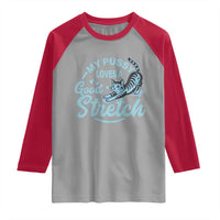 Adult Humor Cat Raglan Shirt My Pussy Loves A Good Stretch - Wonder Print Shop