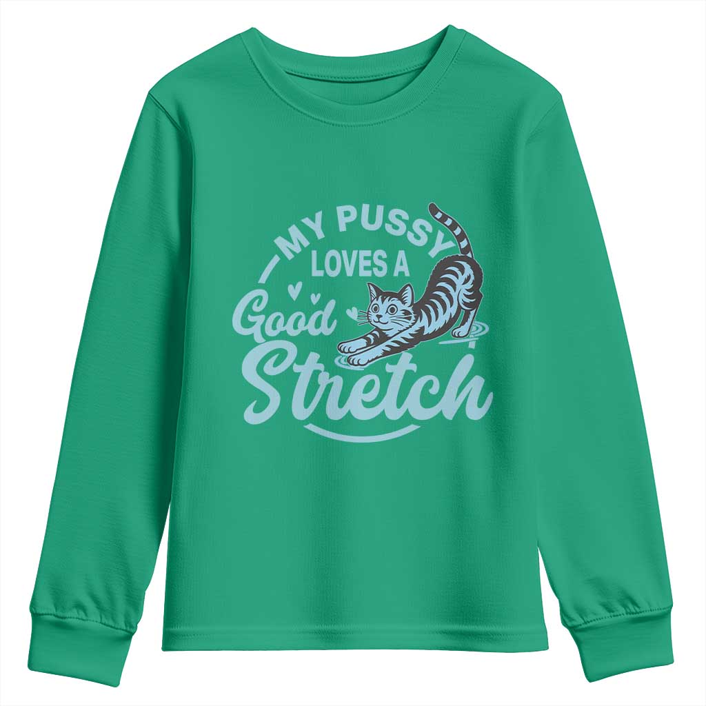 Adult Humor Cat Youth Sweatshirt My Pussy Loves A Good Stretch - Wonder Print Shop