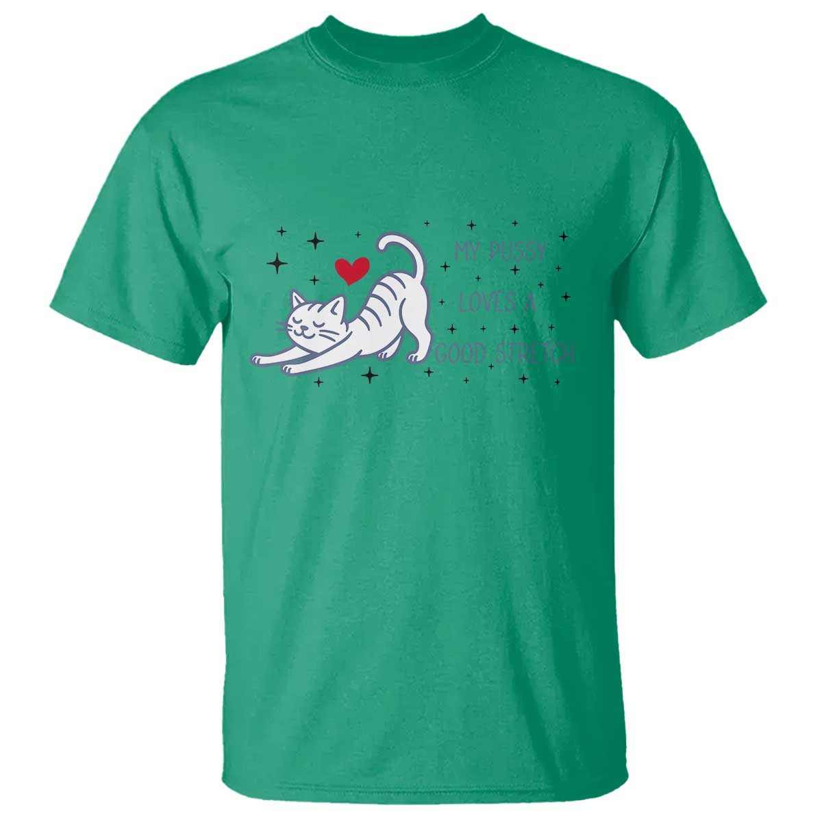My Pussy Loves A Good Stretch T Shirt Adult Humor Cat Gift - Wonder Print Shop
