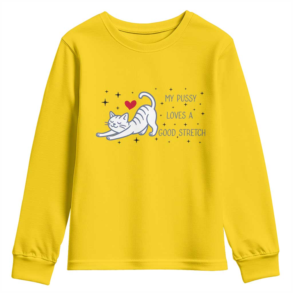 My Pussy Loves A Good Stretch Youth Sweatshirt Adult Humor Cat Gift - Wonder Print Shop