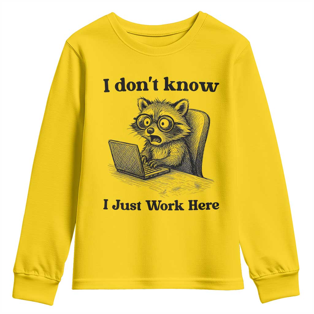 I Do Not Know I Just Work Here Youth Sweatshirt Funny Raccoon Work Quote - Wonder Print Shop