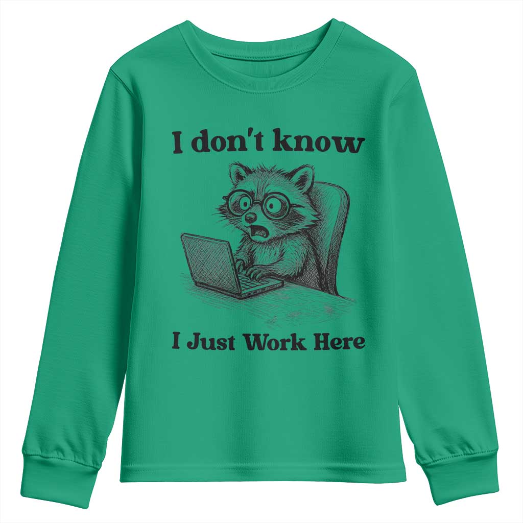 I Do Not Know I Just Work Here Youth Sweatshirt Funny Raccoon Work Quote - Wonder Print Shop