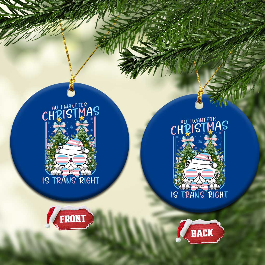Funny Santa Cat Trans Pride Ceramic Ornament All I Want For Christmas Is Trans Rights - Wonder Print Shop