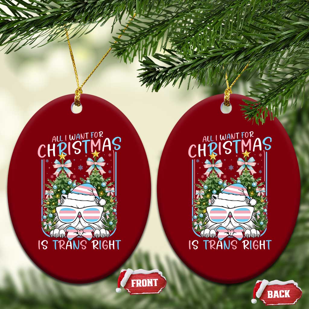 Funny Santa Cat Trans Pride Ceramic Ornament All I Want For Christmas Is Trans Rights - Wonder Print Shop
