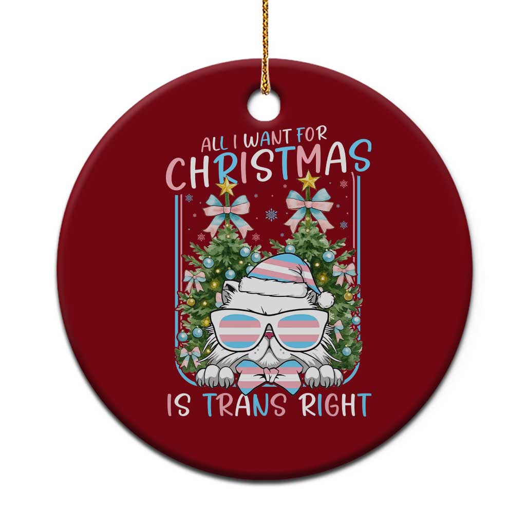 Funny Santa Cat Trans Pride Ceramic Ornament All I Want For Christmas Is Trans Rights - Wonder Print Shop