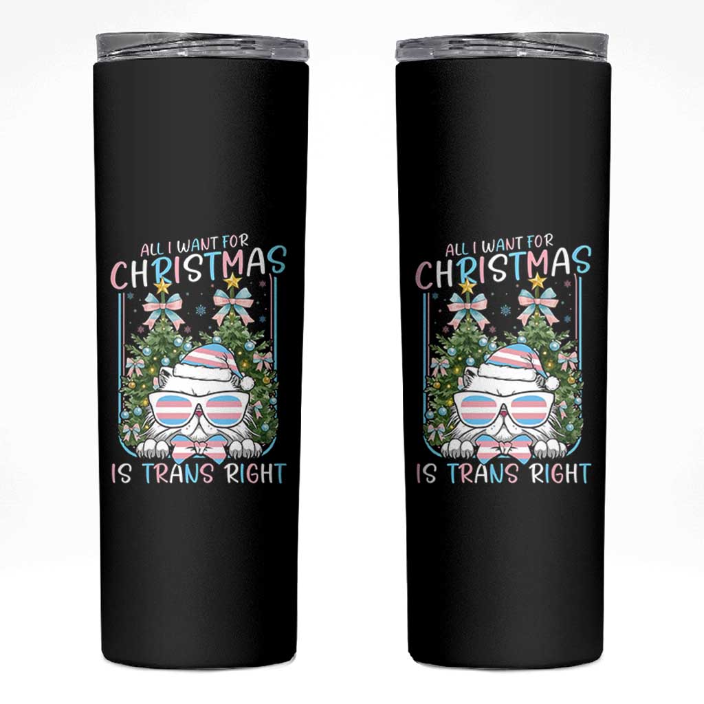 Funny Santa Cat Trans Pride Skinny Tumbler All I Want For Christmas Is Trans Rights - Wonder Print Shop