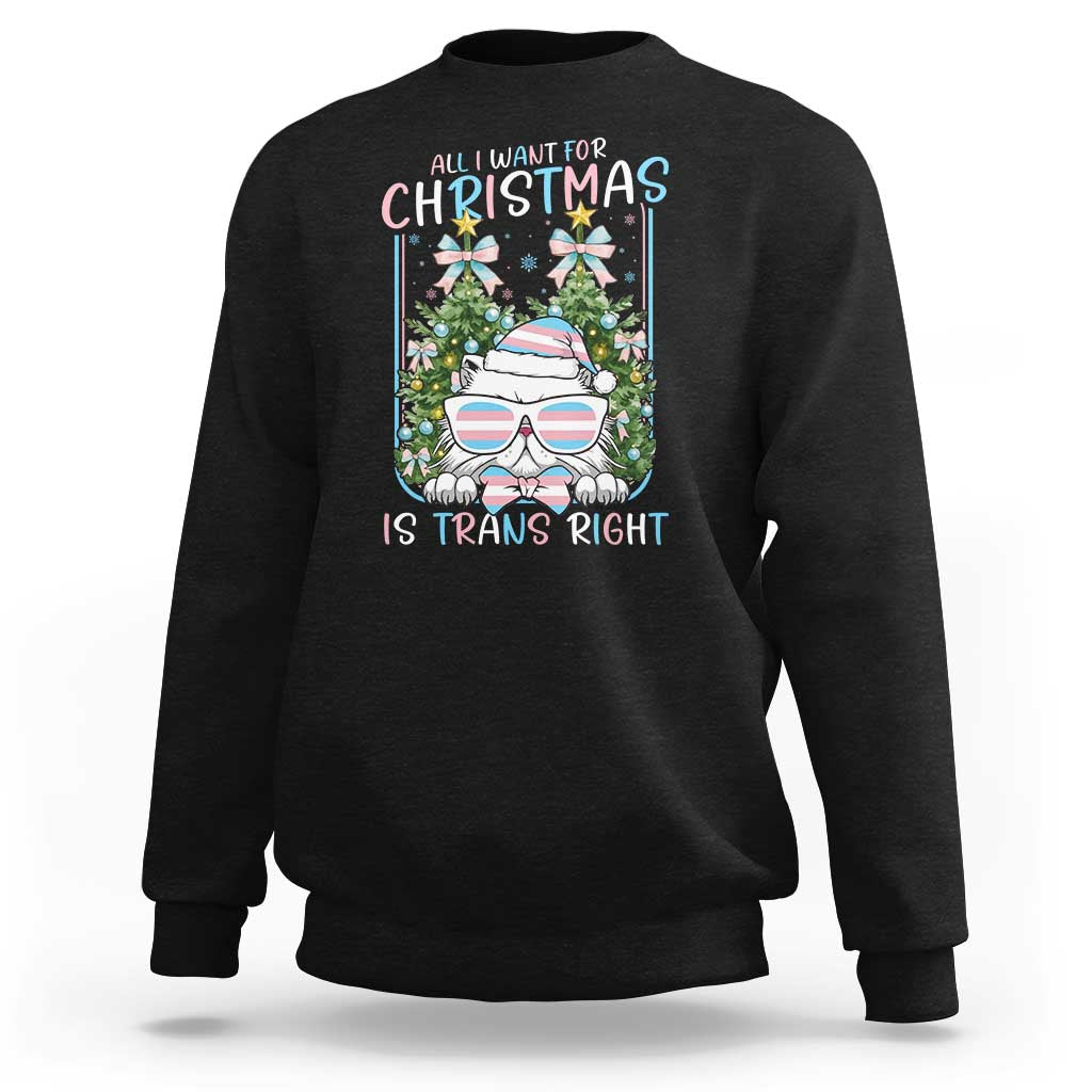 Funny Santa Cat Trans Pride Sweatshirt All I Want For Christmas Is Trans Rights - Wonder Print Shop