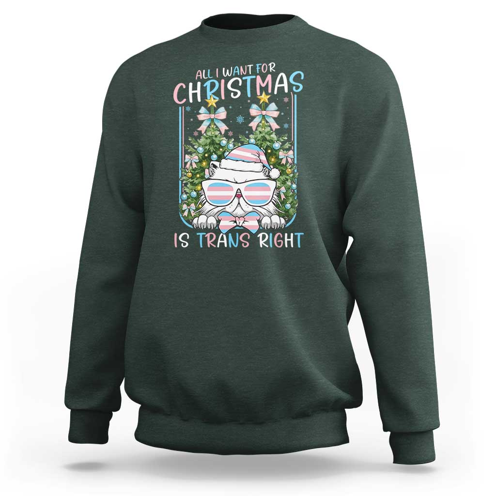 Funny Santa Cat Trans Pride Sweatshirt All I Want For Christmas Is Trans Rights - Wonder Print Shop