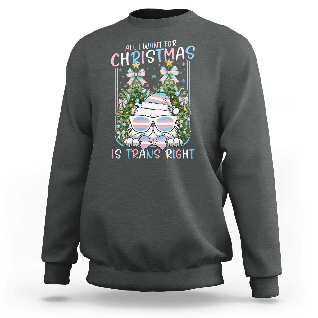 Funny Santa Cat Trans Pride Sweatshirt All I Want For Christmas Is Trans Rights - Wonder Print Shop