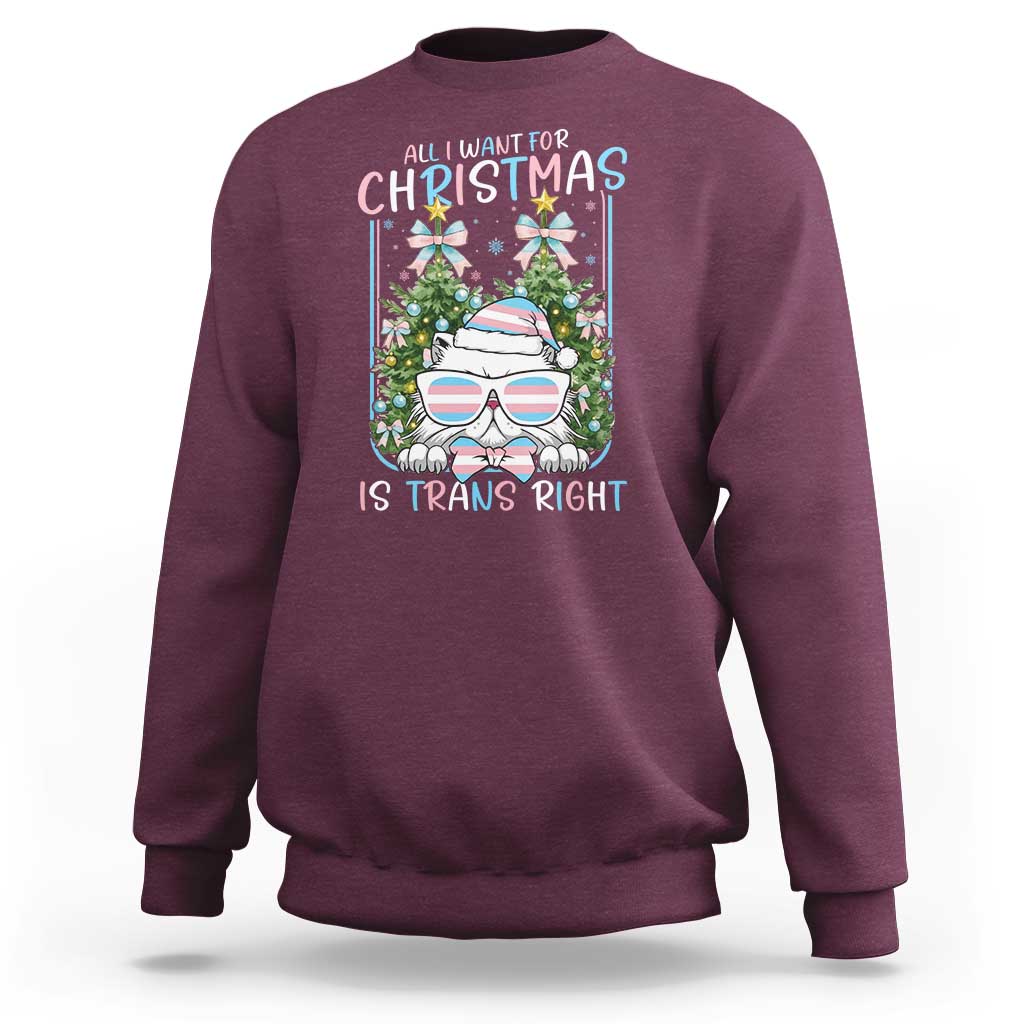 Funny Santa Cat Trans Pride Sweatshirt All I Want For Christmas Is Trans Rights - Wonder Print Shop